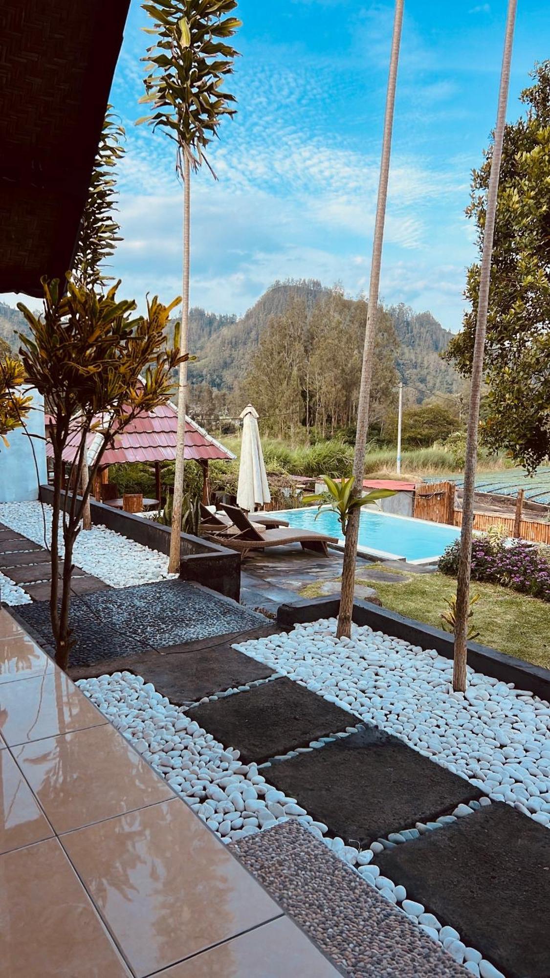 Bukit Catu Bungalows Kintamani Εξωτερικό φωτογραφία